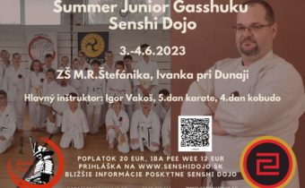 Summer Junior Gasshuku Senshi Dojo