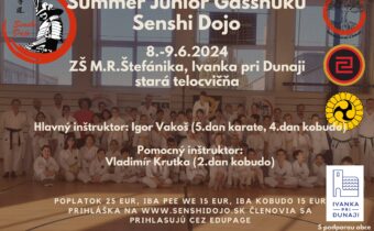 Summer Junior Gasshuku 8.-9.6.2024