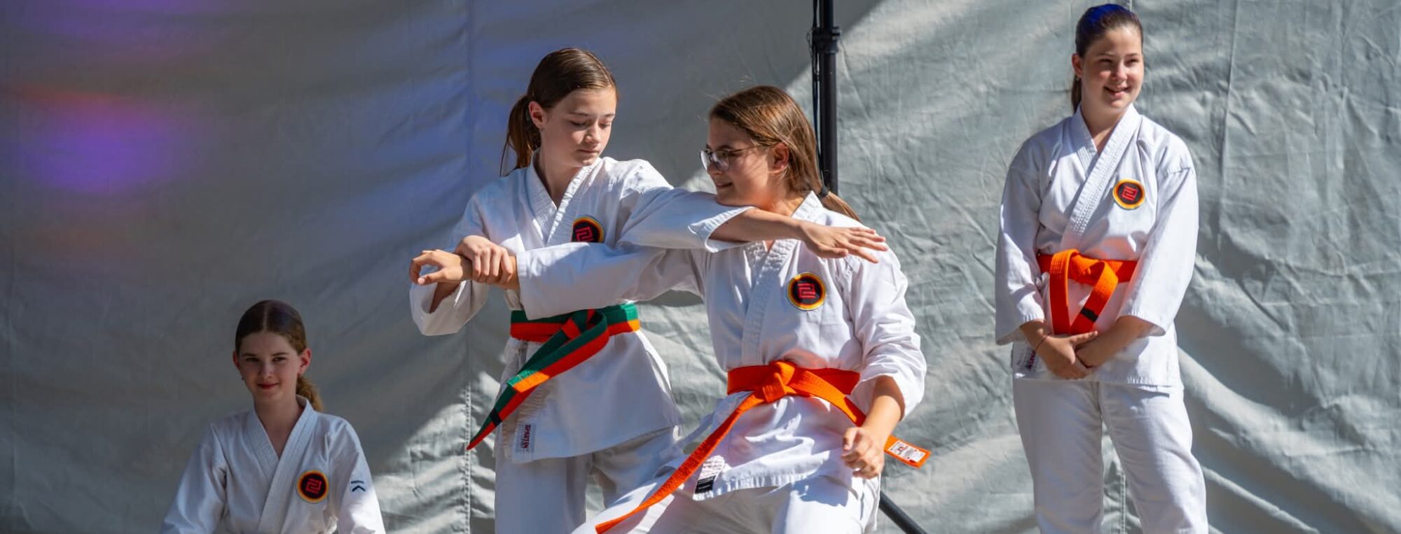 senshidojo.sk